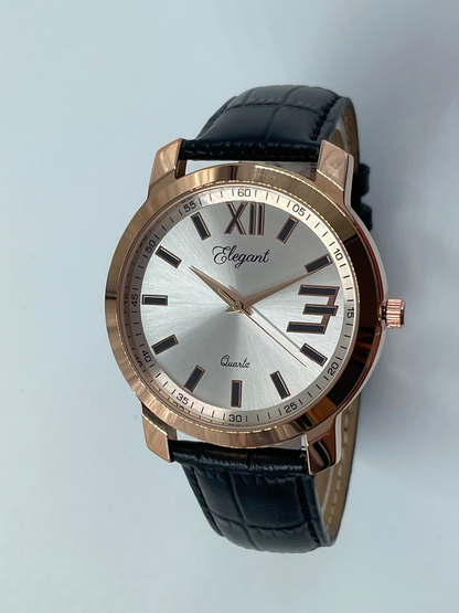 BTC Elegant Stardust - silver Dial Men Gift Watch