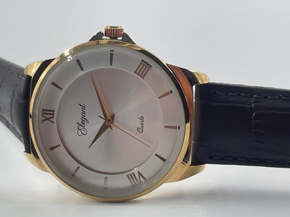 BTC Elegant Stardust  - Silver Dial Men Watch  SIL2511028BRWLS
