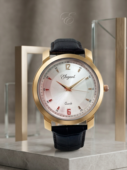 BTC Elegant Stardust - Silver Dial Men Gift Watch SIL2511033BRWLS